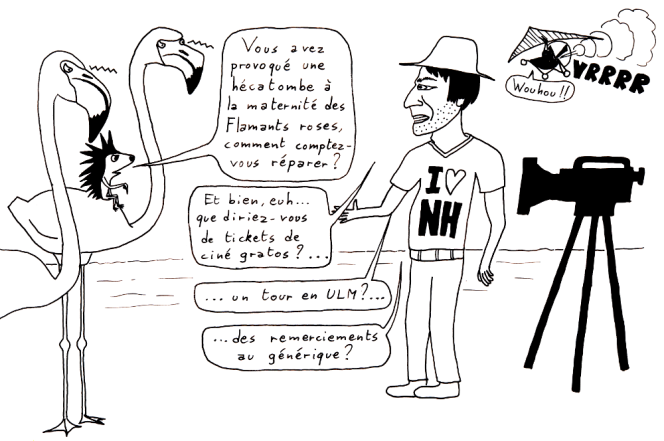 humour-fnelr-vanier-flamants-roses-reparations-1000.png
