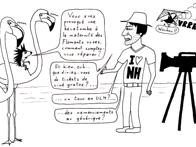 humour-fnelr-vanier-flamants-roses-reparations-1000.png