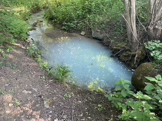 image010.jpg