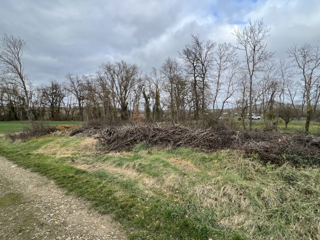 saint-martin-des-plains-de-chets-verts.jpeg