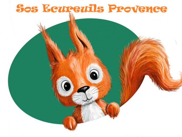 sos-ecureuils-provence.jpg