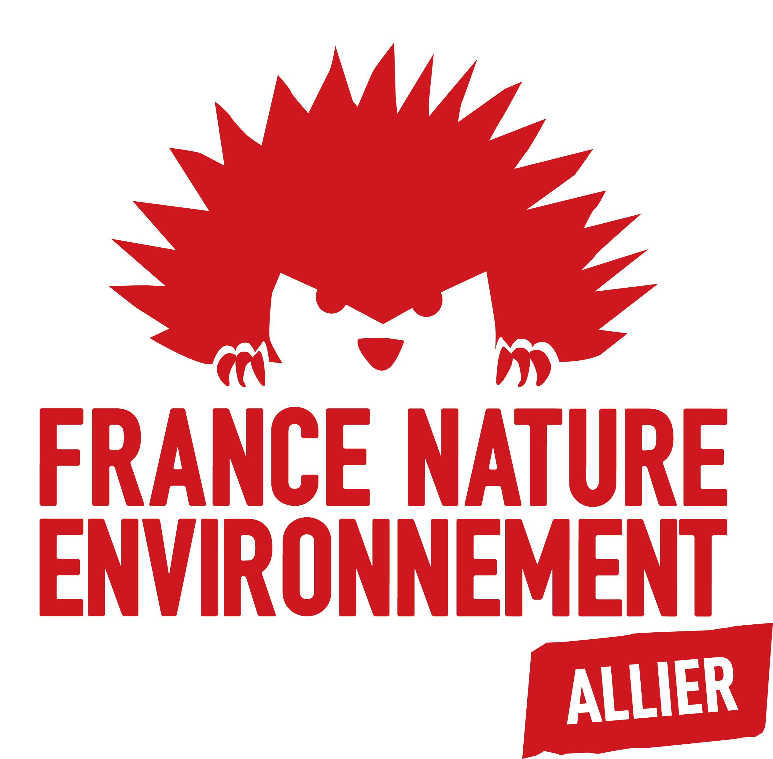 fne-allier.png