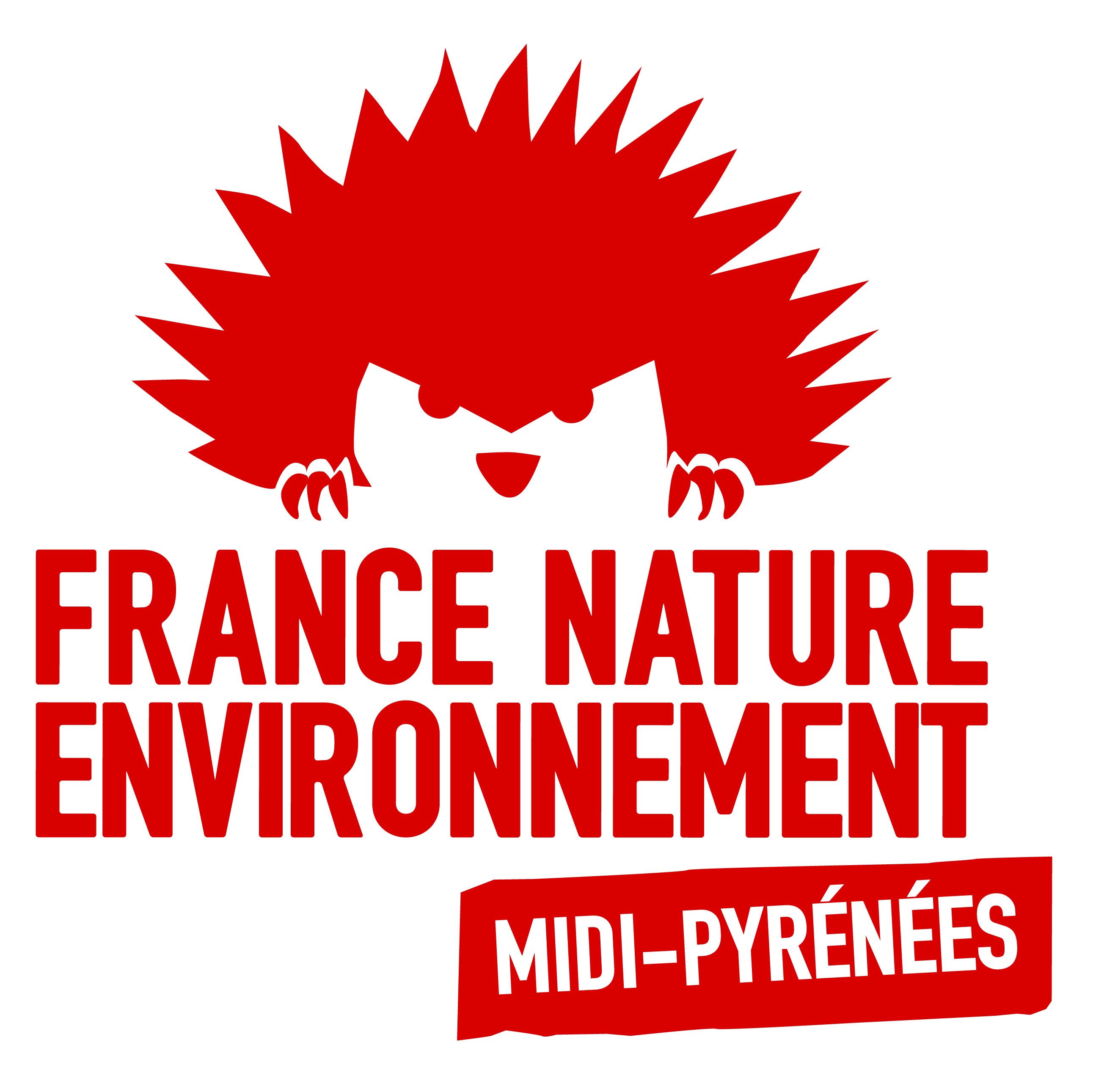 fne-logo-midi-pyrenees-cmjn.jpg fne-logo-midi-pyrenees-cmjn.jpg