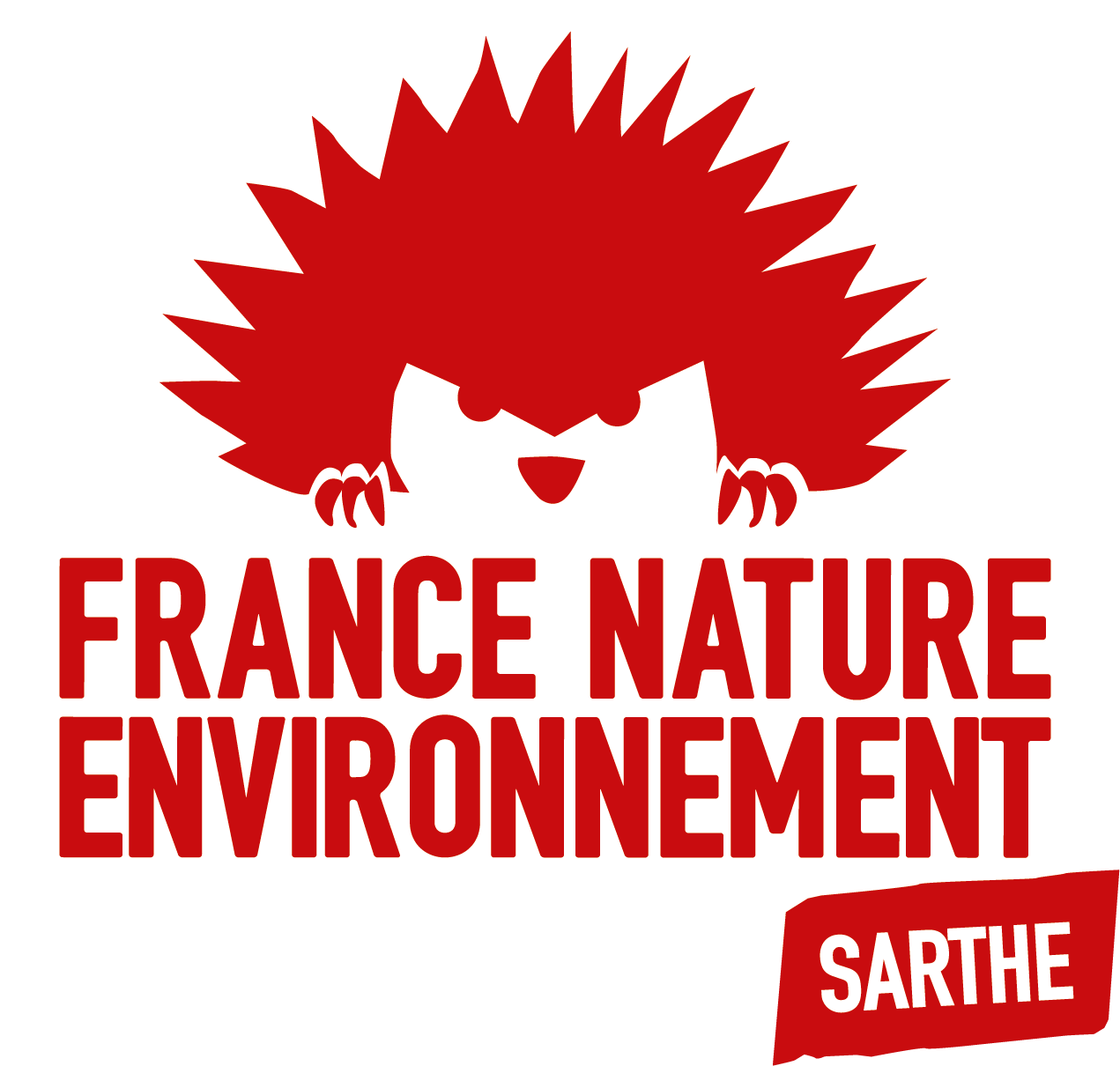 fne-sarthe-logo-principal-rouge.png