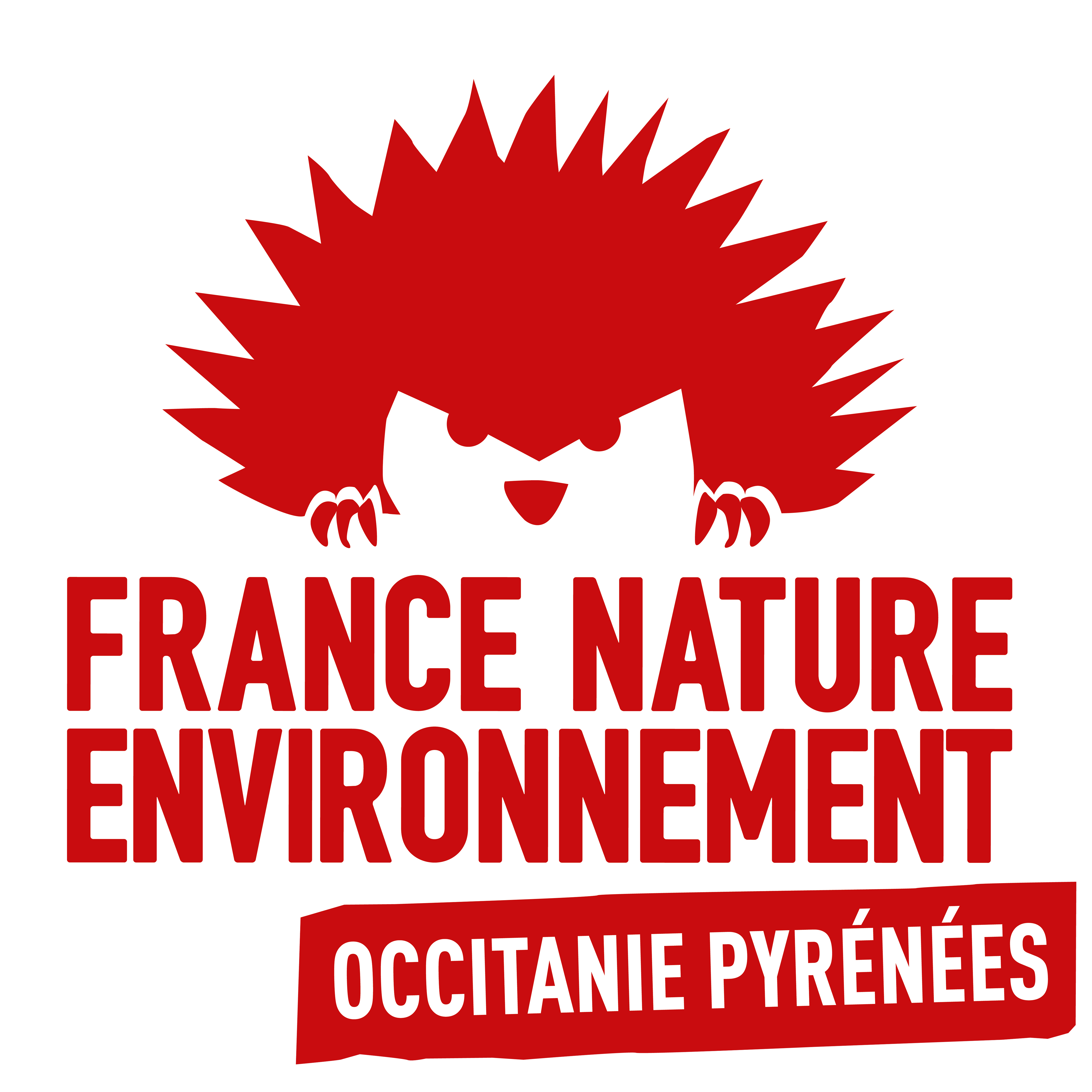fne-logo-occitanie-pyrenees.png