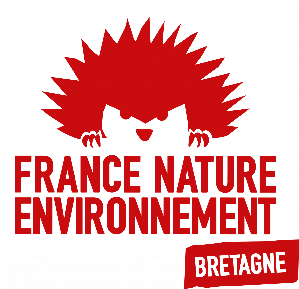 fne-bretagne-logo-principal-rouge.png