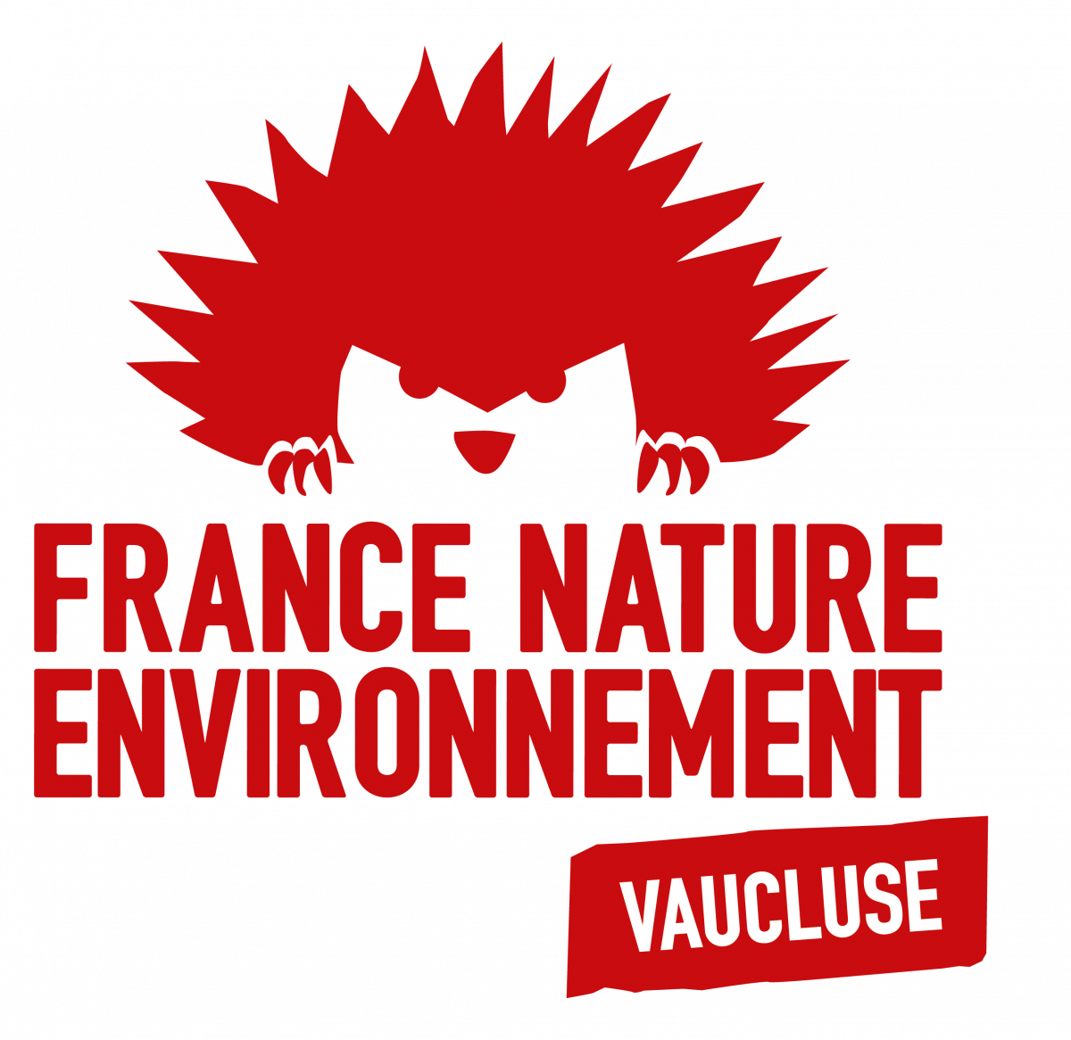 fne-logo-vaucluse.png