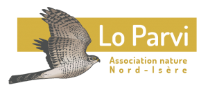 loparvi-logo-web-01-300x133.png
