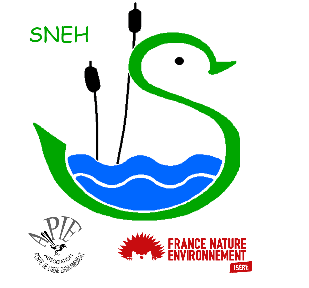 sneh-logo.png