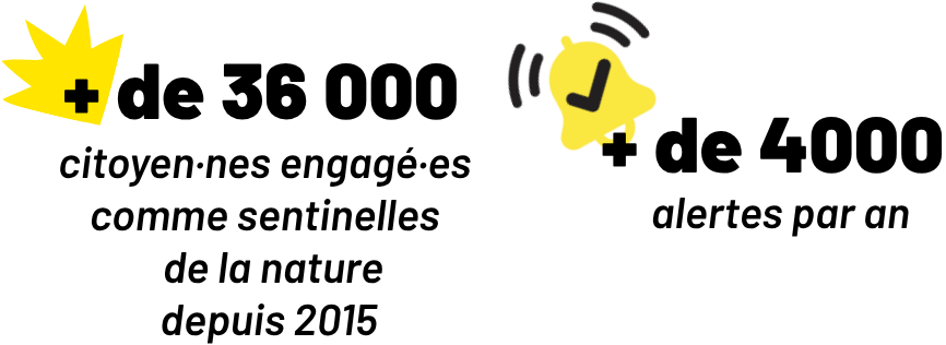 + de 36 000 citoyens et citoyennes engagés comme Sentinelles de la Nature. + de 4000 alertes par an