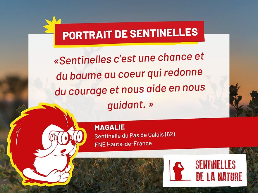 Portrait de sentinelles